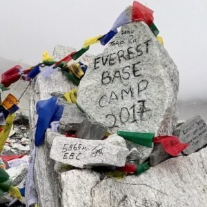 mari-partyka-PLzgu9O7xag-unsplash (1) (1)