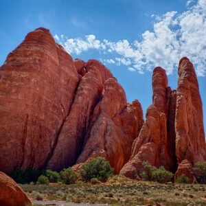 pexels-photo-754278-1