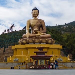 raimond-klavins-lHfPWkvtJRg-unsplash (2) (1)