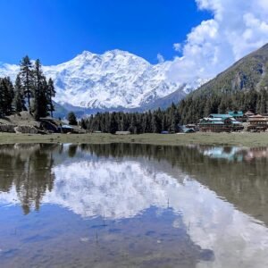 Perfect reflection of Nanga Parbat at 8,126m in a still lake at Fairy Meadows with mountain lodges and pine trees, northern Pakistan