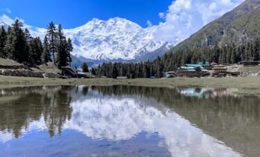 Perfect reflection of Nanga Parbat at 8,126m in a still lake at Fairy Meadows with mountain lodges and pine trees, northern Pakistan