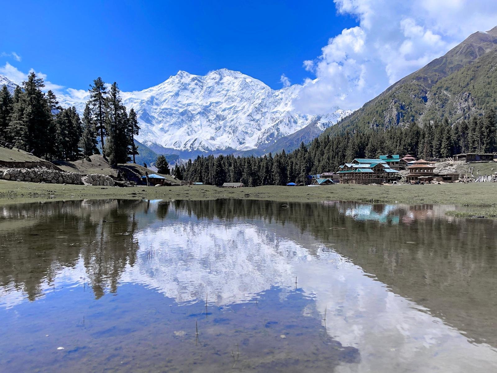 Perfect reflection of Nanga Parbat at 8,126m in a still lake at Fairy Meadows with mountain lodges and pine trees, northern Pakistan