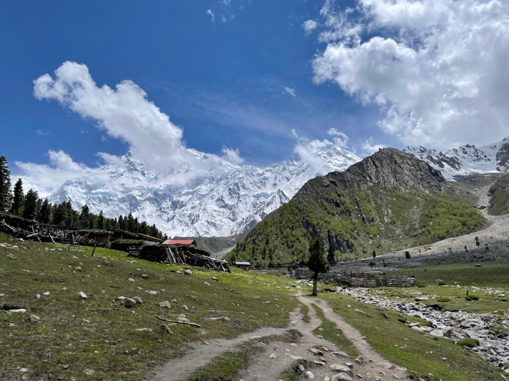 Trekking trail past traditional wooden animal shelters at Fairy Meadows with the full Nanga Parbat massif spanning the horizon, northern Pakistan