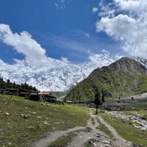 Trekking trail past traditional wooden animal shelters at Fairy Meadows with the full Nanga Parbat massif spanning the horizon, northern Pakistan