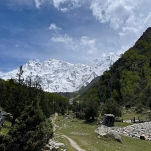 Trekking trail winding through Fairy Meadows green valley toward Nanga Parbat at 8,126m, northern Pakistan