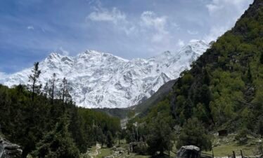 Trekking trail winding through Fairy Meadows green valley toward Nanga Parbat at 8,126m, northern Pakistan