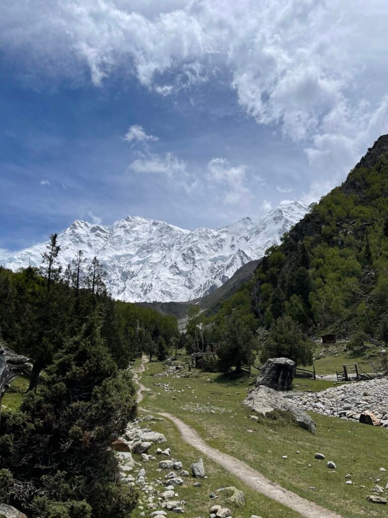 Trekking trail winding through Fairy Meadows green valley toward Nanga Parbat at 8,126m, northern Pakistan