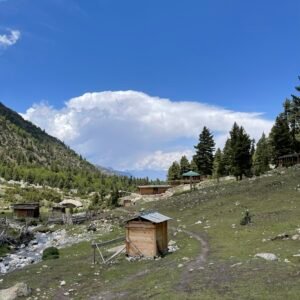 Wooden lodges and mountain stream at Fairy Meadows with Nanga Parbat visible behind pine trees, northern Pakistan