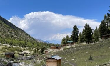 Wooden lodges and mountain stream at Fairy Meadows with Nanga Parbat visible behind pine trees, northern Pakistan