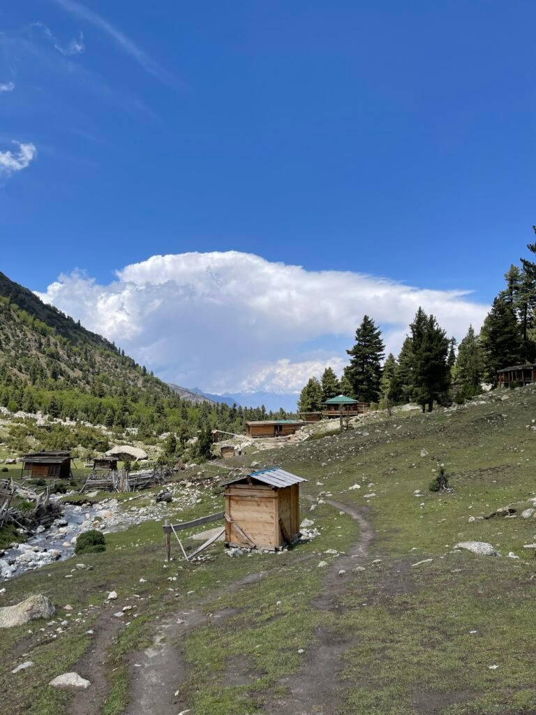 Wooden lodges and mountain stream at Fairy Meadows with Nanga Parbat visible behind pine trees, northern Pakistan