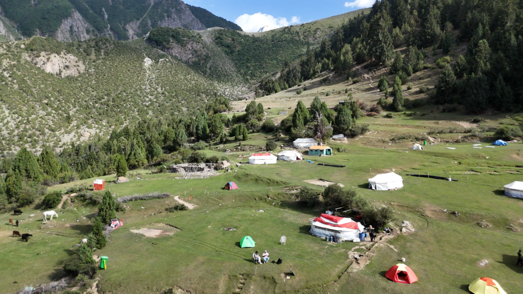 Aerial view of trekking camp in the forested meadows on the approach to Rakaposhi Base Camp, northern Pakistan