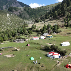 Aerial view of trekking camp in the forested meadows on the approach to Rakaposhi Base Camp, northern Pakistan